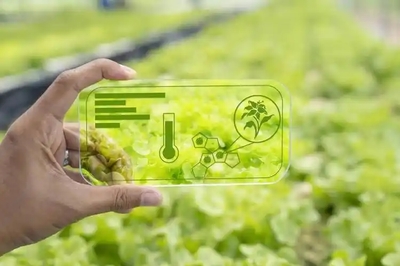 智能農業管理 人工智能如何賦能現代農業的精細化發展