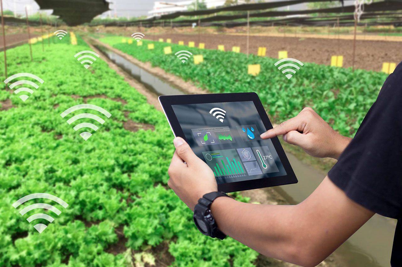 領航鄉村振興 5G智慧農業助力數字農業革新